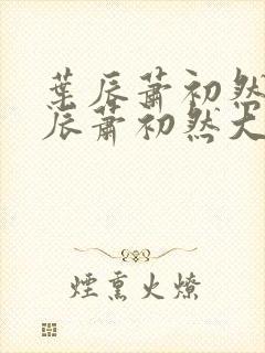 叶辰萧初然 叶辰萧初然大结局