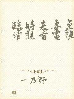 临时夫妻免费高清观看电视剧封面