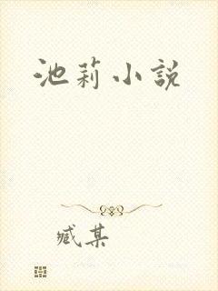 池莉小说