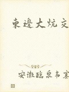 东边大炕交换封面