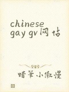chinesegay gv网站封面