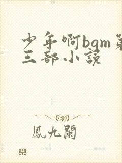 少年啊bgm第三部小说