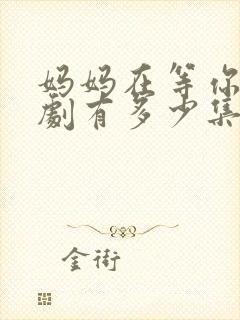 妈妈在等你电视剧有多少集封面