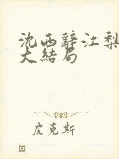 沈西辞江梨楚晗大结局封面