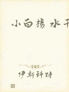 小白杨 水千丞封面