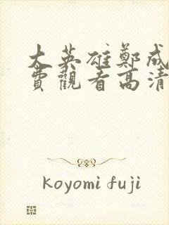 大英雄郑成功免费观看高清