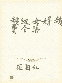 超级女婿赵旭免费全集封面