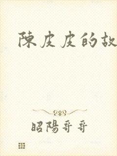 陈皮皮的故事