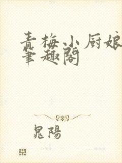 青梅小厨娘云玖笔趣阁