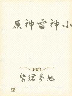 原神雷神小本封面