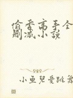 偷香高手全文无删减小说