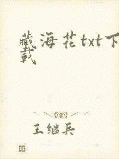 藏海花txt下载
