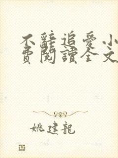 不辞追爱小说免费阅读全文最新章节