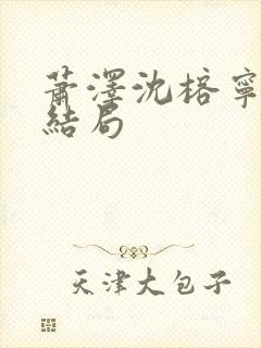 萧泽沈榕宁番外结局