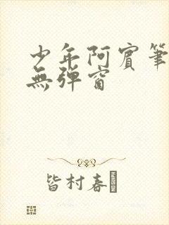 少年阿宾笔趣阁无弹窗