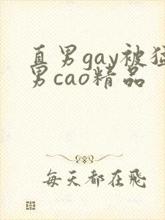 直男gay被猛男cao精品