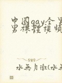 中国gay全男男裸体视频写真