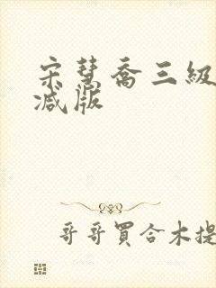 宋慧乔三级未删减版封面