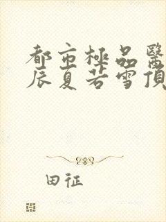 都市极品医神叶辰夏若雪顶点小说网