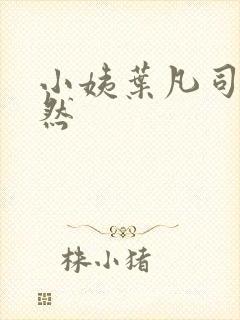 小姨叶凡司空嫣然