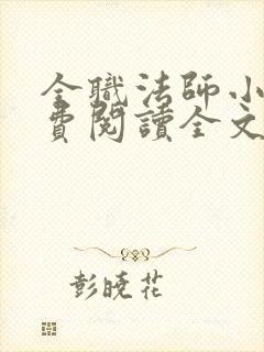 全职法师小说免费阅读全文无删减封面