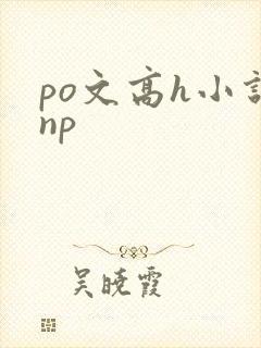po文高h小说np