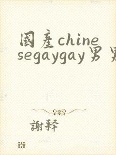 国产chinesegaygay男男网站