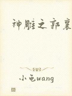 神雕之郭襄外传封面