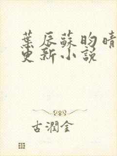 叶辰苏昀晴最新更新小说