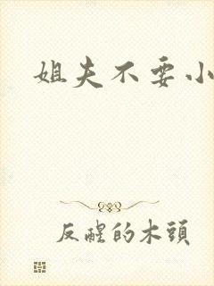 姐夫不要小说