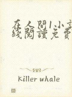 在人间1小说在线阅读免费无弹窗封面