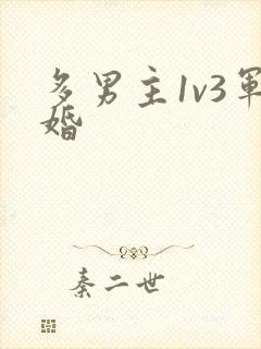 多男主1v3军婚
