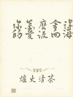 你怎么舍得让我的爱流向海