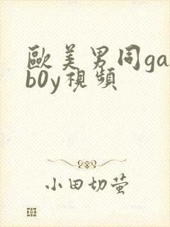 欧美男同gayb0y视频