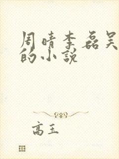 周晴李磊吴云峰的小说