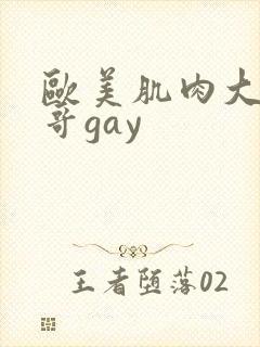 欧美肌肉大吊帅哥gay