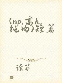 (np,高h,纯肉)短篇