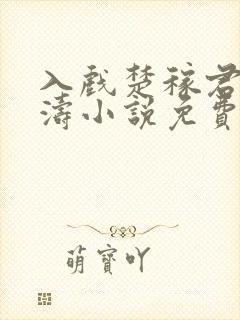 入戏楚稼君纪勇涛小说免费阅读