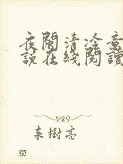 夜阑清冷意欢小说在线阅读