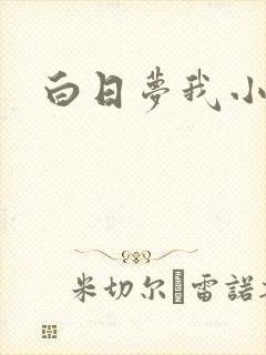 白日梦我小说