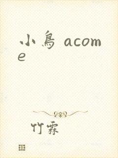 小鸟 acome封面