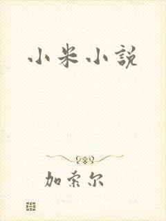 小米小说