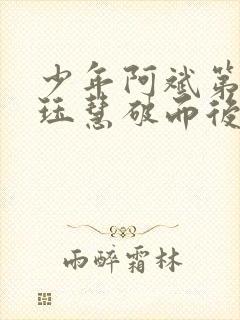 少年阿斌第二部珏慧破而后立封面