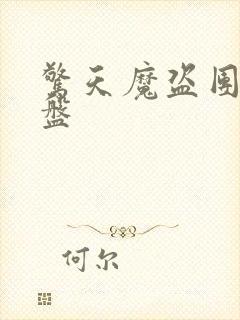 惊天魔盗团2网盘