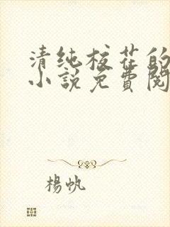 清纯校花的秘密小说免费阅读