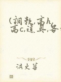 (调教,高h,高c,道具,各种play)小说