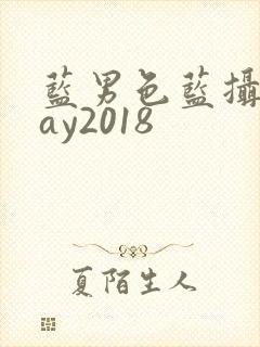 蓝男色蓝摄摄gay2018