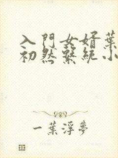 入门女婿叶辰萧初然系统小说封面