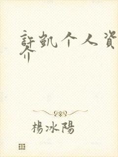 许凯个人资料简介封面