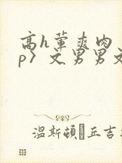 高h荤爽肉〈np〉文男男文